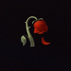 Meet your Posher, Coco